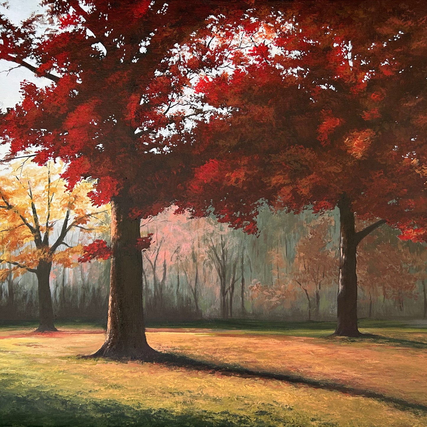 "Evening Light in Autumn" – Original Acrylic Painting of Winton Woods