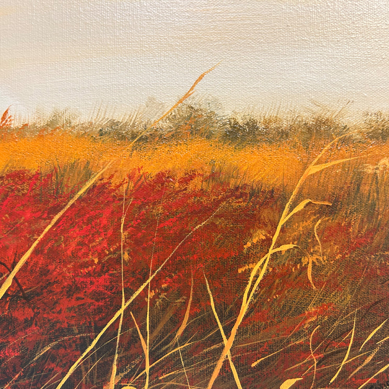 Field of Red and Gold